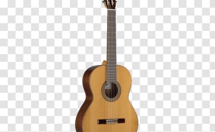 Acoustic Guitar Eko Guitars Musical Instruments Gypsy Jazz - Flower - 3c Digital Transparent PNG