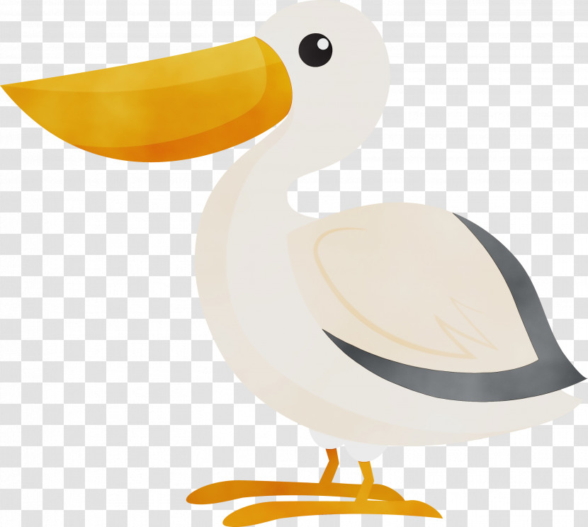 Duck Beak Seabird Transparent PNG