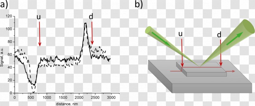 Scanning Helium Ion Microscope Secondary Electrons Field Reflection - Electron Transparent PNG