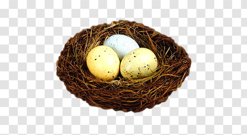 Nest Bird Egg Easter Bunny - Color Transparent PNG