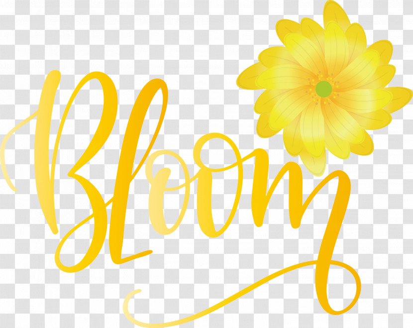 Bloom Spring Transparent PNG