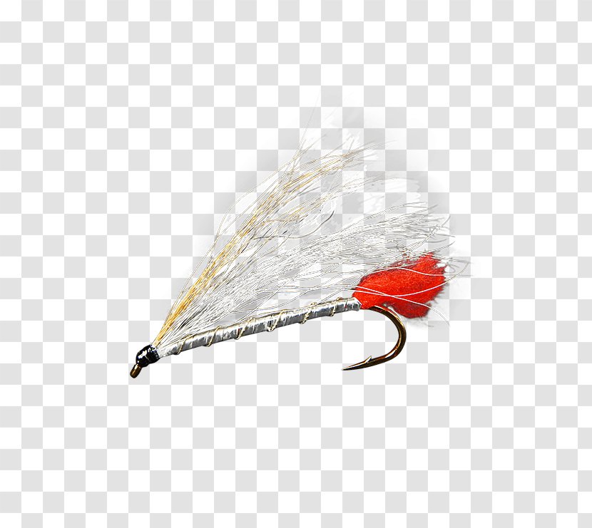 Artificial Fly Eastern Blacknose Dace Holly Flies Email September 1 - Streamer Transparent PNG