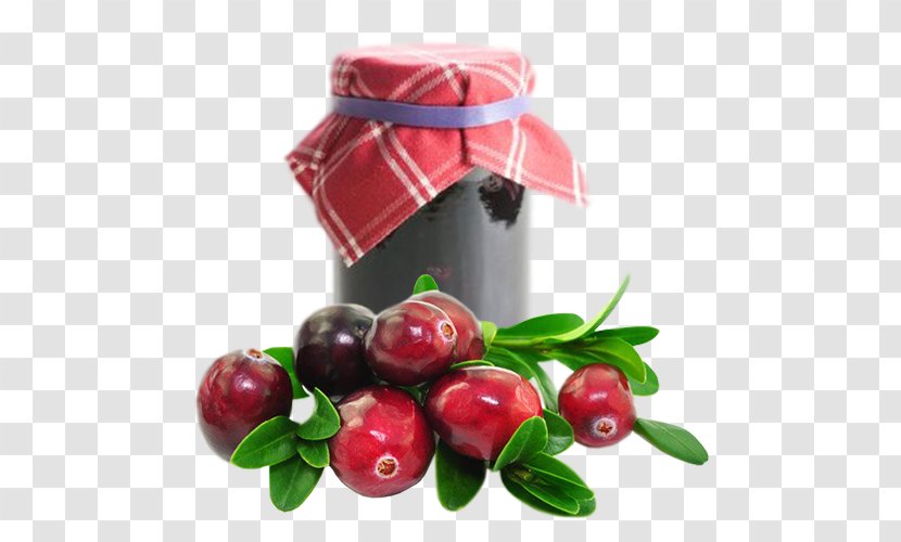 Cranberry Juice Lingonberry Sauce - Flavor Transparent PNG