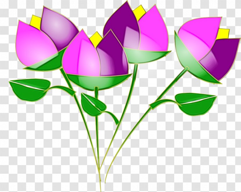 Clip Art Vector Graphics Drawing Lily - Botany - Tulip Transparent PNG