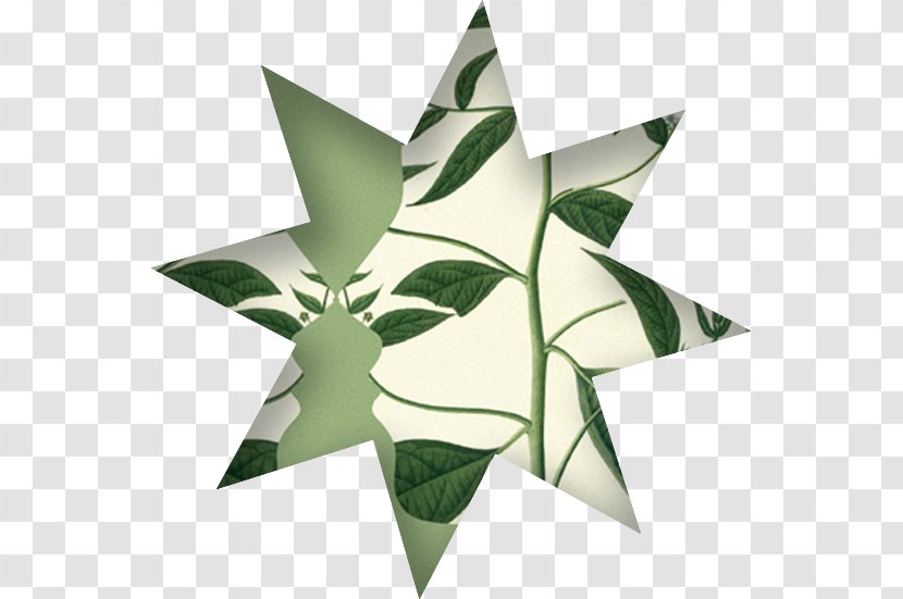 Paper Leaf Origami Symmetry Art - Flora - Cultural Festival Transparent PNG