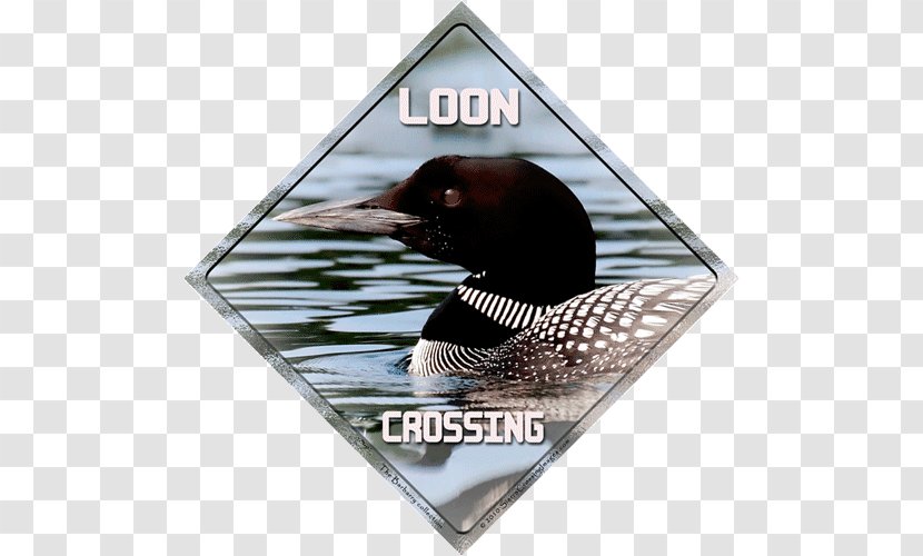 Duck Advertising Loons Refrigerator Magnets Vehicle License Plates Transparent PNG