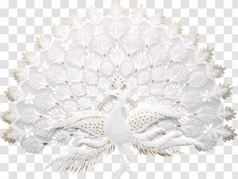 Asiatic Peafowl Bird - Creativity - Pretty Creative Pattern Peacock Transparent PNG