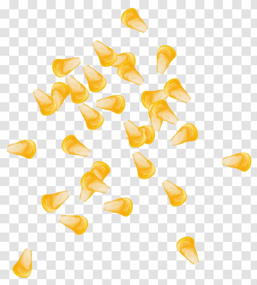 Maize Euclidean Vector Computer File - Vecteur - Corn Kernels Transparent PNG