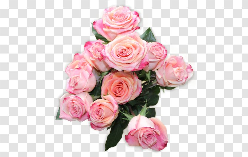 Flower Bouquet Garden Roses - Rose Family Transparent PNG