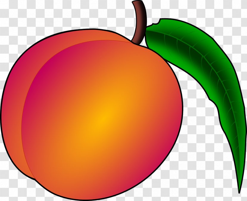 Peach Free Content Download Clip Art - Stockxchng - Bright Transparent PNG