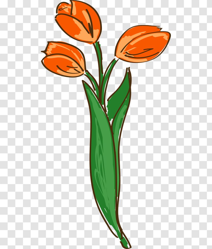Netherlands Tulip Clip Art - Orange - Hand-painted Cartoon Tulips Transparent PNG