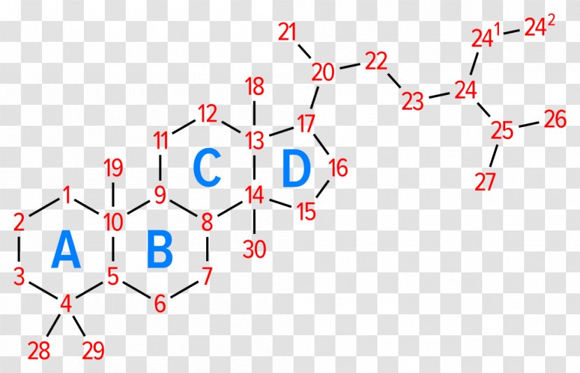 Steroid Hormone Phytosterol Cholesterol Cortisol Transparent PNG