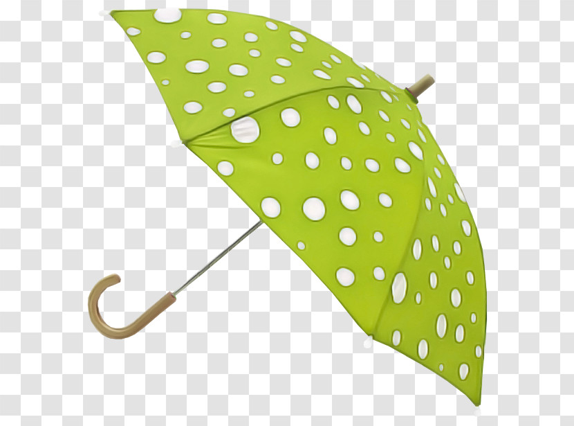 Drawing Umbrella Cartoon Lily White Transparent PNG