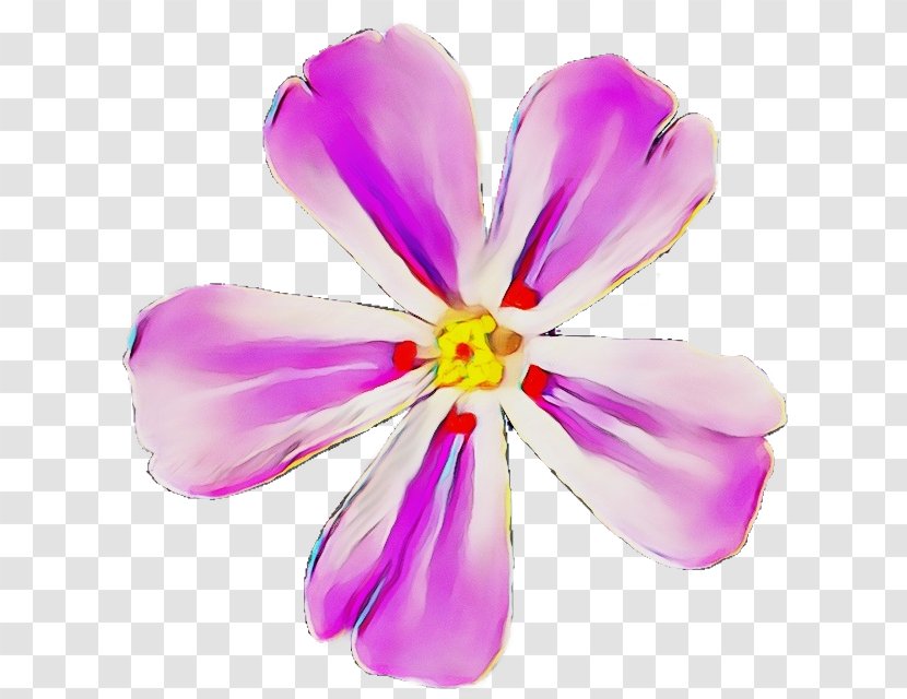 Purple Watercolor Flower - Wet Ink - Wildflower Transparent PNG