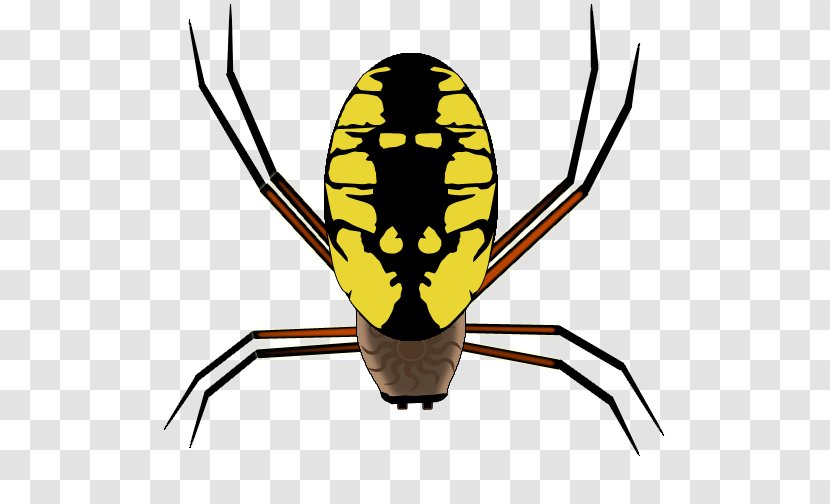 Yellow Background - Price - Arachnid Pest Transparent PNG