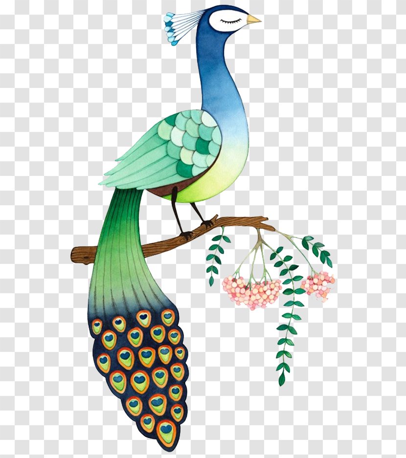 Watercolor Painting Illustration - Water Bird - Peacock Transparent PNG