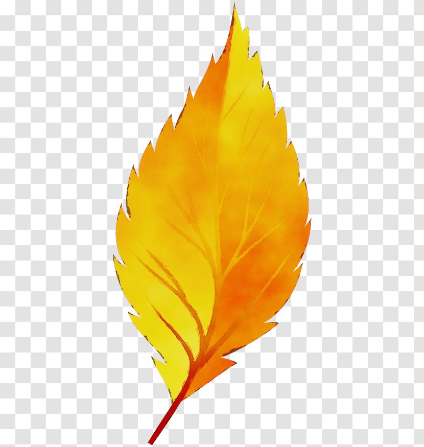 Autumn Leaf Drawing - Yellow - Perennial Plant Feather Transparent PNG