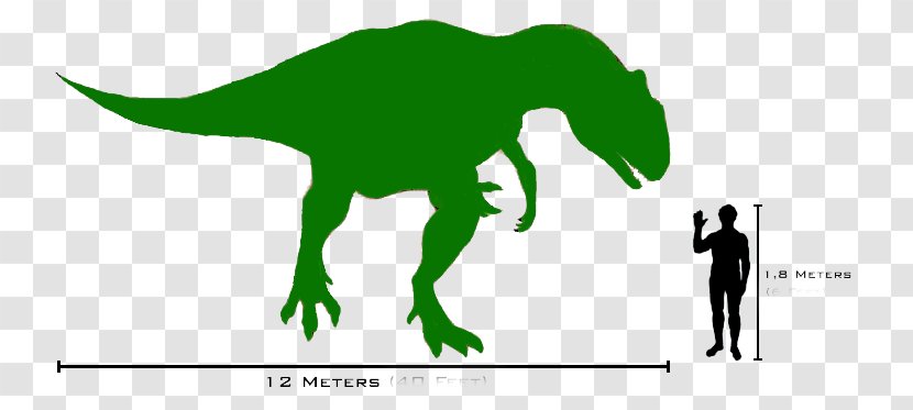 Carnotaurus Allosaurus Tyrannosaurus Image Dinosaur - Triceratops Skeleton Front Transparent PNG