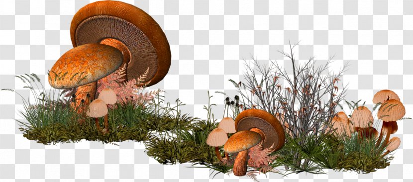 Mushroom Clip Art - Pixel - Cartoon Grass Forest Decoration Pattern Transparent PNG
