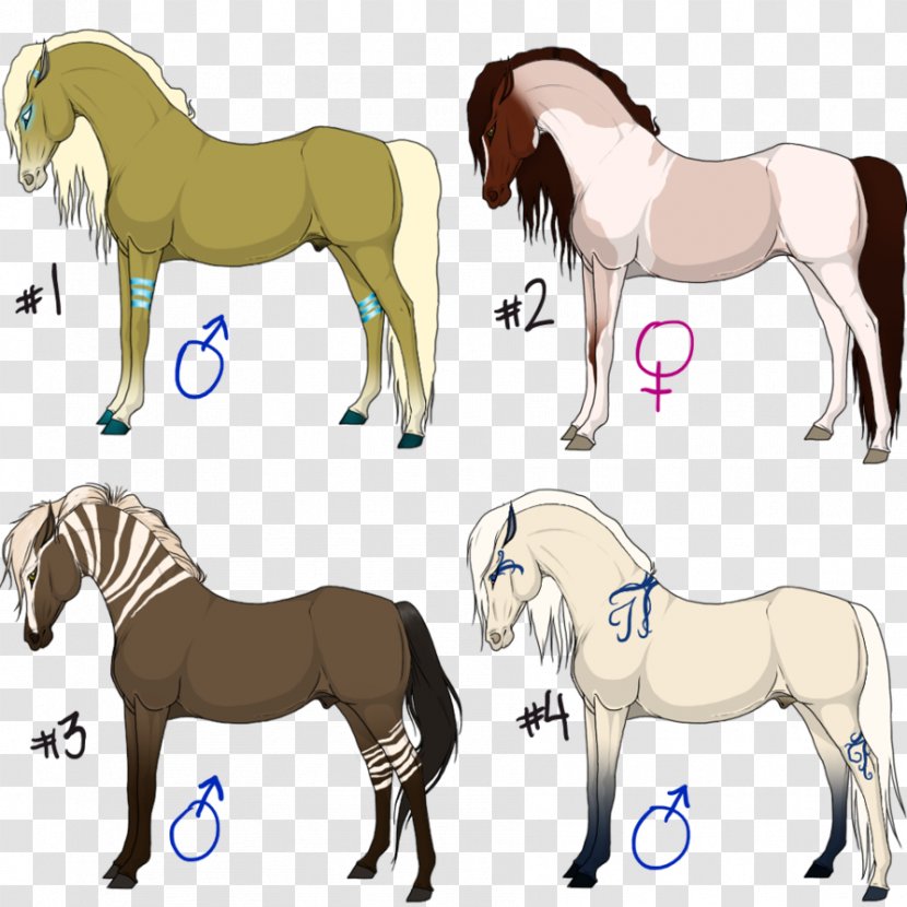 Foal Mane Stallion Mare Colt - Rein - Maintain One's Original Pure Character Transparent PNG