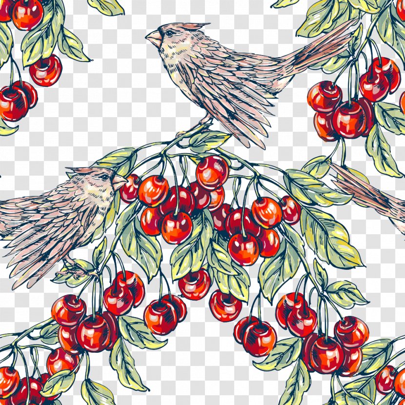 Painting Illustration - Tree - Cherry Bird Transparent PNG
