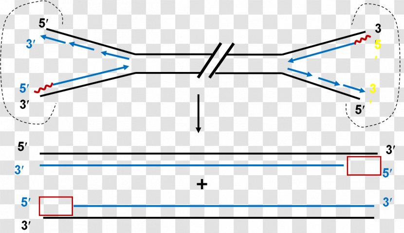 Line Point Angle Diagram - Symmetry Transparent PNG