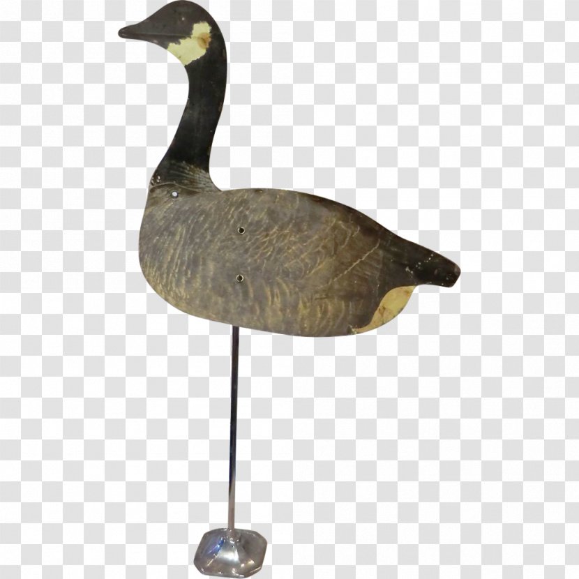 Goose Duck Water Bird Anatidae Transparent PNG