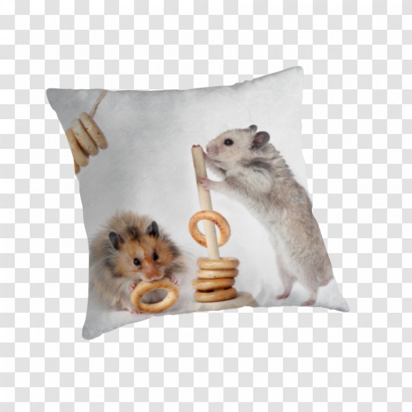 Rodent Hamster Rat Throw Pillows Cushion - Small Transparent PNG
