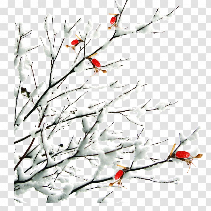 Daxue Dongzhi Dahan Snow Solar Term - Plum Flower,winter,antiquity,Chinese Style Transparent PNG