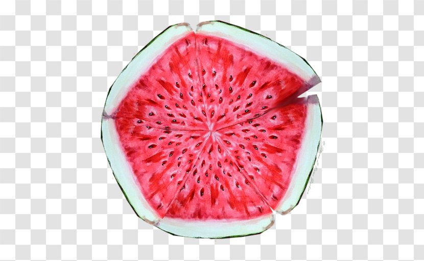 Watermelon Cucurbitaceae Food - Superfood - Water Melon Transparent PNG
