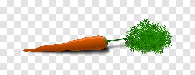 Carrot Clip Art Transparent PNG