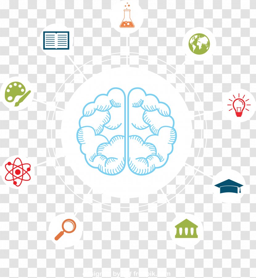 Federal University Of Santa Catarina Knowledge Chart Agy - Material - Strongest Brain Mapping Transparent PNG