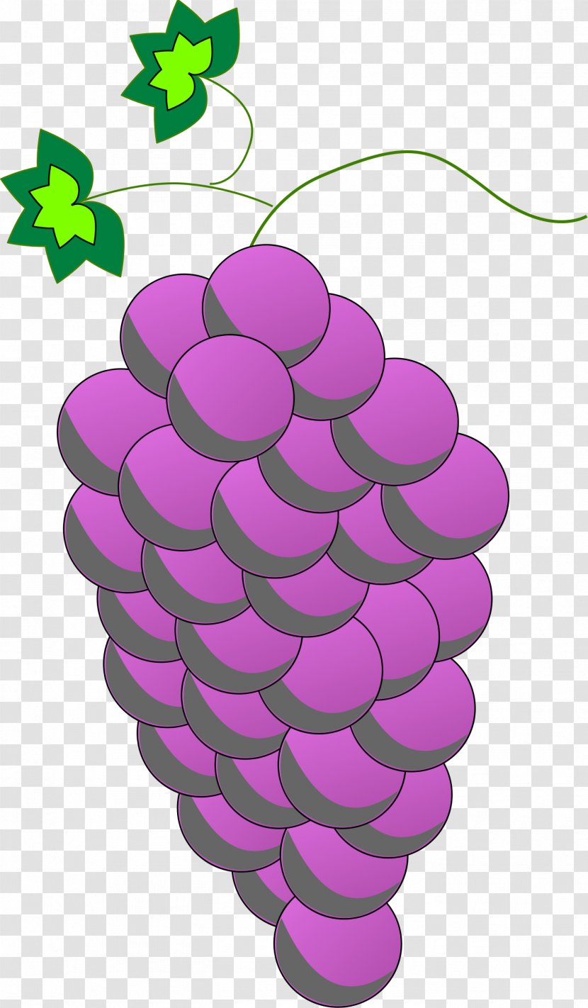 Common Grape Vine Wine Food Clip Art - Leaves - Purple Transparent PNG