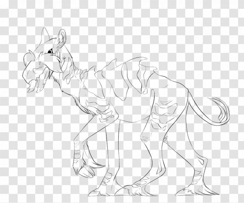 Carnivora Line Art Drawing /m/02csf - Animal Transparent PNG