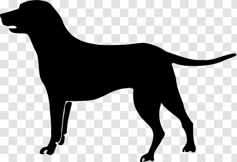 Bird Cartoon - Montenegrin Mountain Hound - Borador Transparent PNG