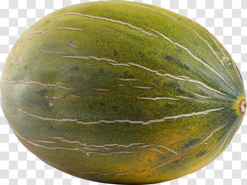 Honeydew Cantaloupe Watermelon Fruit - Auglis - Melon Transparent PNG