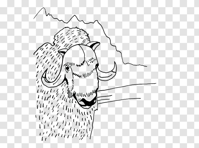 Visual Arts Sheep Drawing - Cartoon - Sketch Transparent PNG