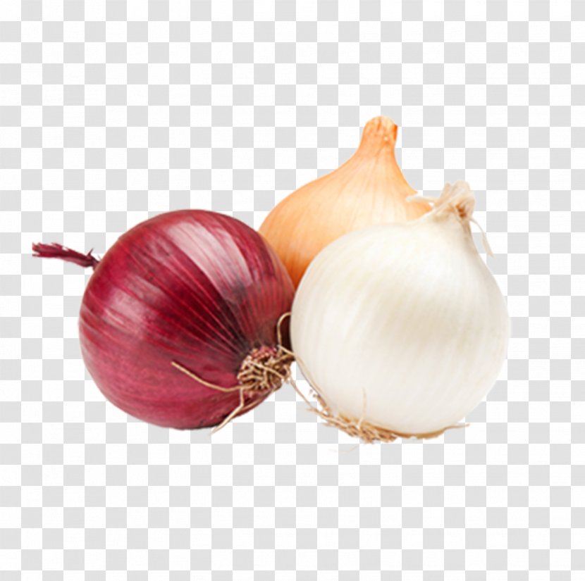 White Onion Vegetable Fruit Food - Red Transparent PNG