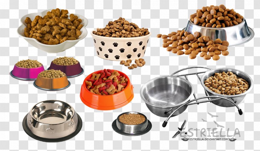 Stainless Steel Cat Food Dog - Dish Transparent PNG