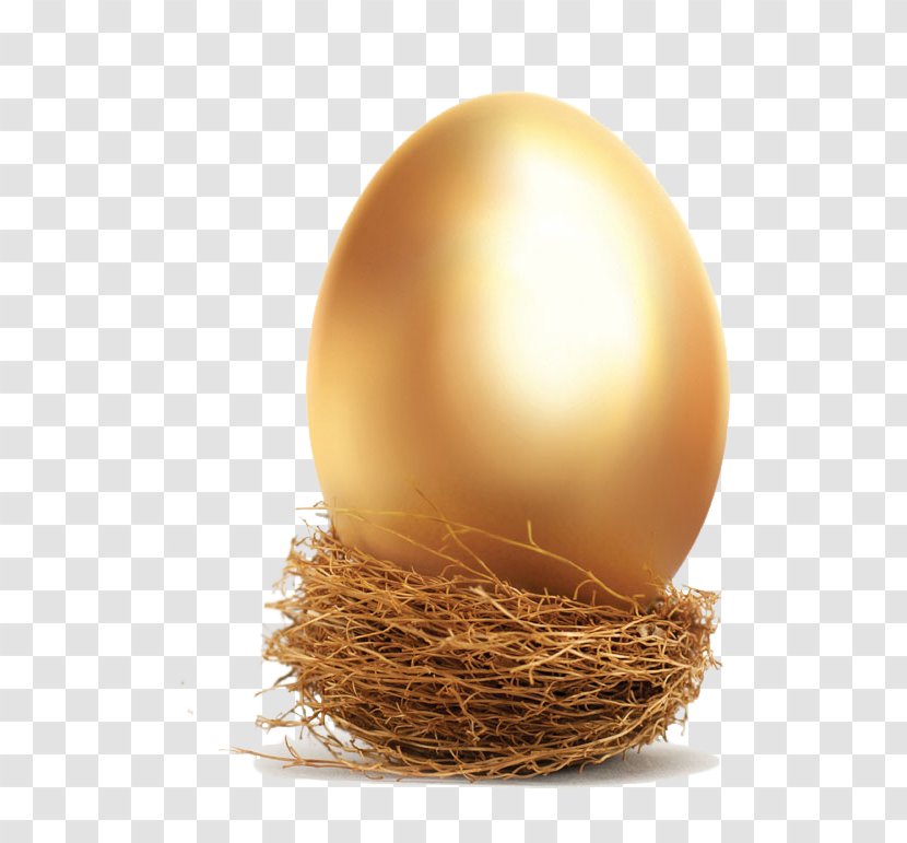 The Safe Investor: How To Make Your Money Grow In A Volatile Global Economy Investment Volatility - Finance - Giant Golden Egg Transparent PNG
