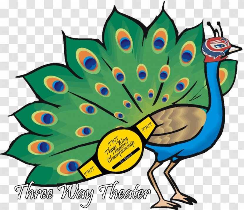 Peafowl Feather Clip Art - Royaltyfree - Peacock Transparent PNG