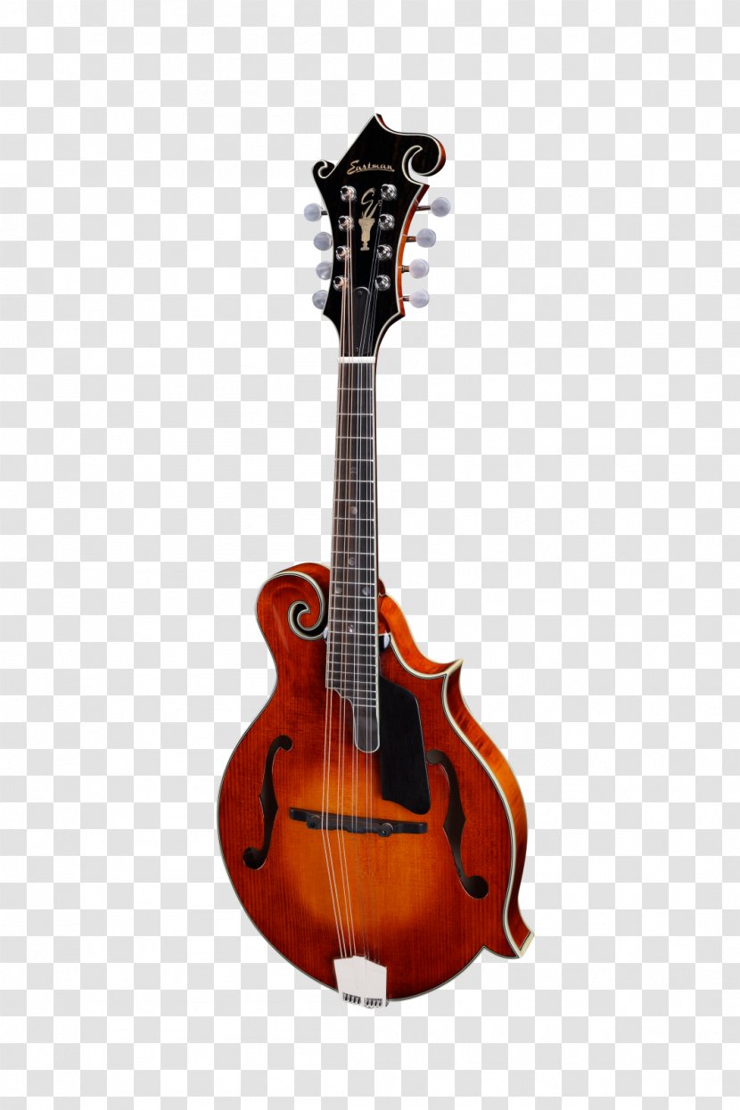 Mandolin Musical Instruments Guitar Harmonica Fingerboard - Tree Transparent PNG