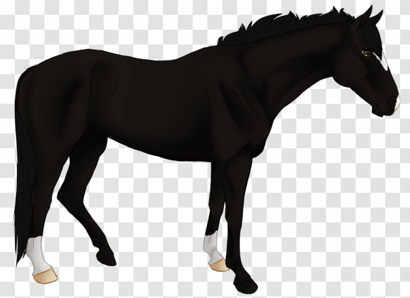 Pony Mare Stallion Mustang Mane - Neck - Angry Black Wolf Stare Transparent PNG
