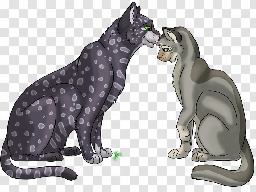 Cat Bear July 16 Give Me Love Terrestrial Animal - Fauna Transparent PNG