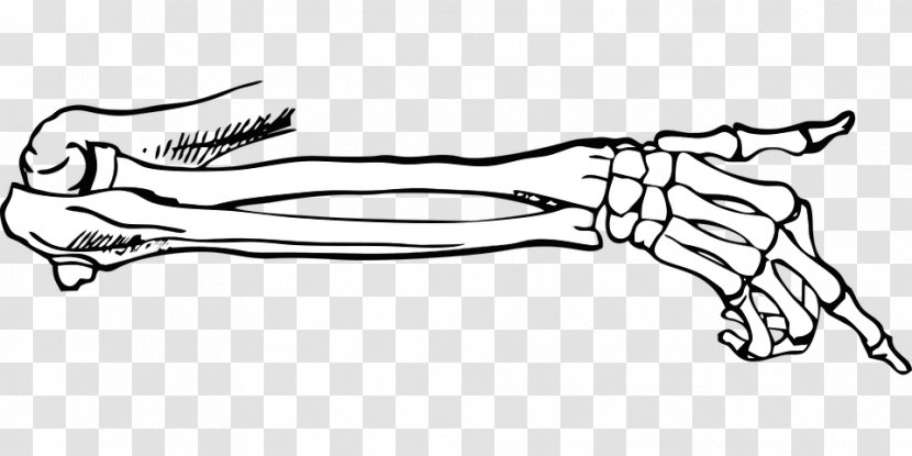 Finger Failure EP Bone Joint Muscle - Heart - Hand Skeleton Transparent PNG