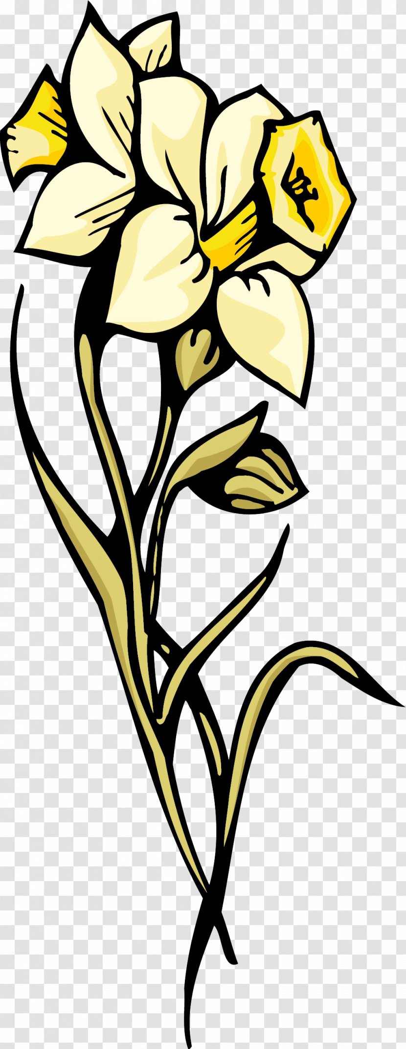 Petal Daffodil Flower Tulip Clip Art Transparent PNG