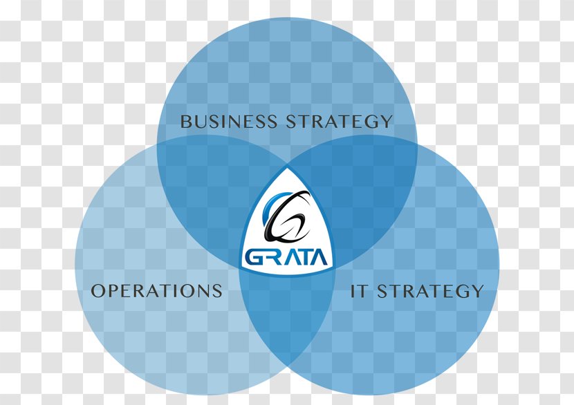 Grata Software Computer Development Mobile Custom - Information Technology - Customized Transparent PNG