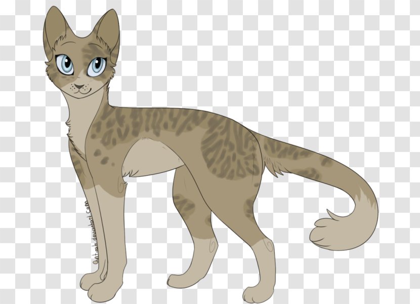 Whiskers Domestic Short-haired Cat Wildcat Warriors - Wild Transparent PNG