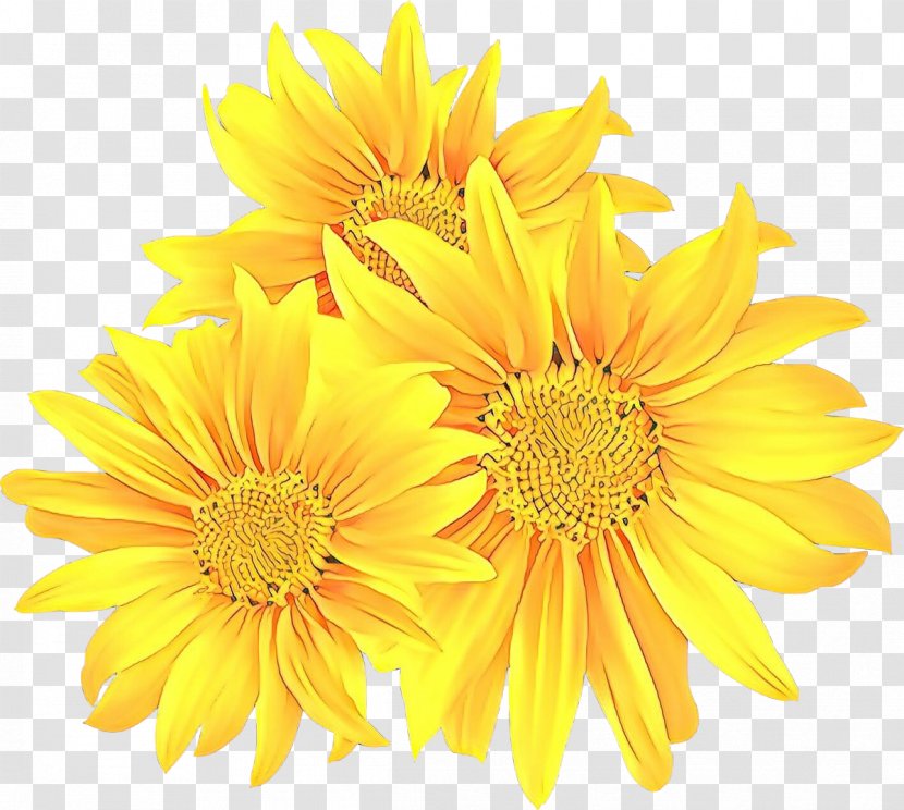 Stock Photography Royalty-free Music Sunflower - Daisy - Royaltyfree Transparent PNG
