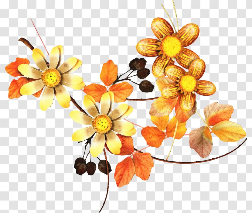 Floral Flower Background - Plants - Hair Accessory Bouquet Transparent PNG